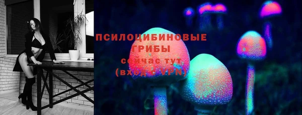2c-b Рославль