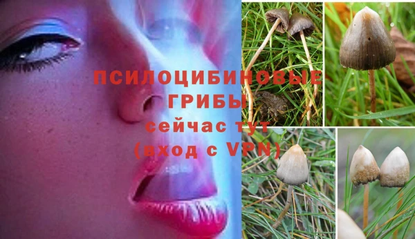 метадон Беломорск