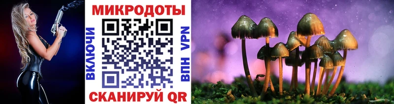 Псилоцибиновые грибы Psilocybe  Высоцк 