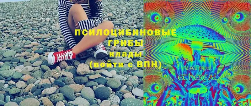 Псилоцибиновые грибы ЛСД  цена   Высоцк 